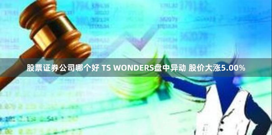 股票证券公司哪个好 TS WONDERS盘中异动 股价大涨5.00%