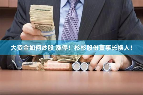 大资金如何炒股 涨停！杉杉股份董事长换人！