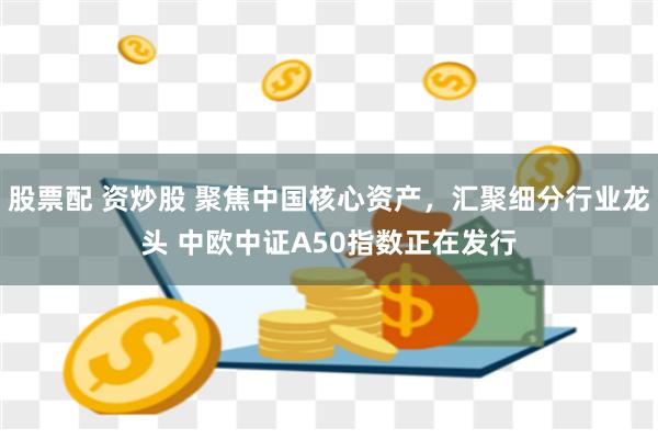 股票配 资炒股 聚焦中国核心资产，汇聚细分行业龙头 中欧中证A50指数正在发行