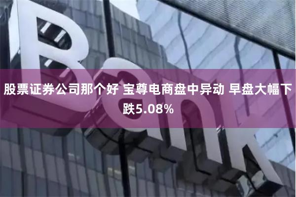 股票证券公司那个好 宝尊电商盘中异动 早盘大幅下跌5.08%