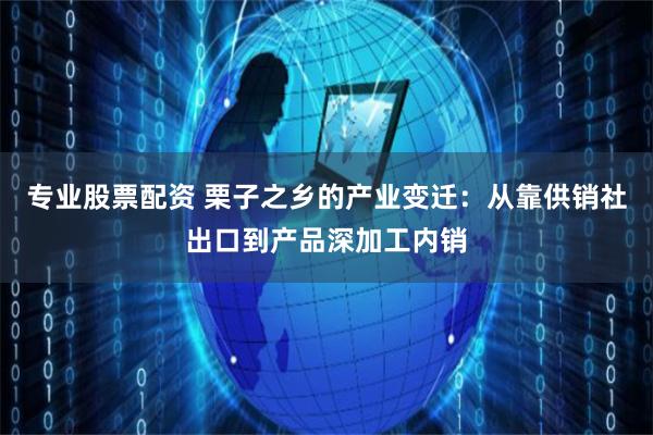 专业股票配资 栗子之乡的产业变迁：从靠供销社出口到产品深加工内销