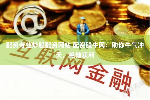 配资专业炒股配资网站 配资股牛网：助你牛气冲天，稳健获利
